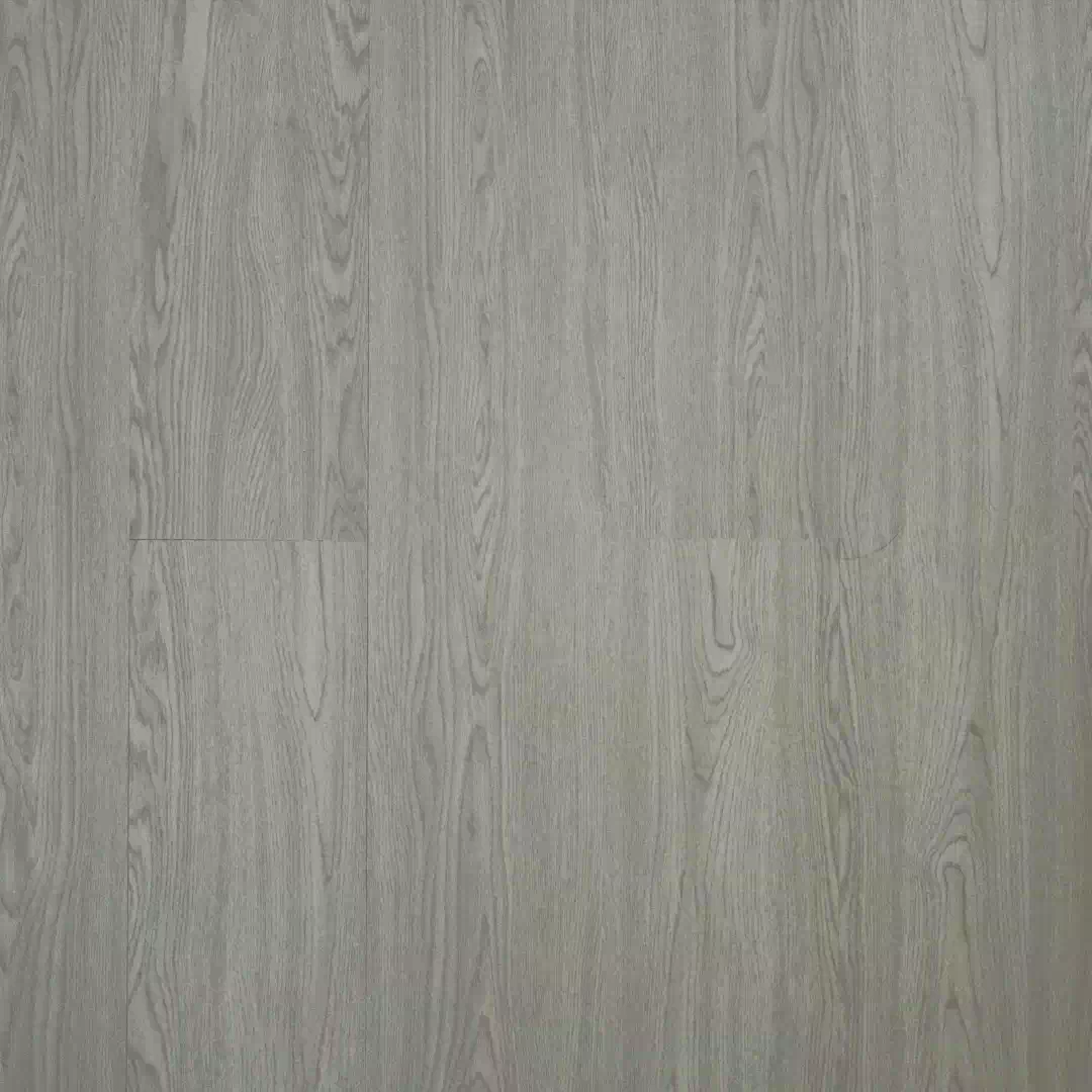 Polar SPC - White Wash