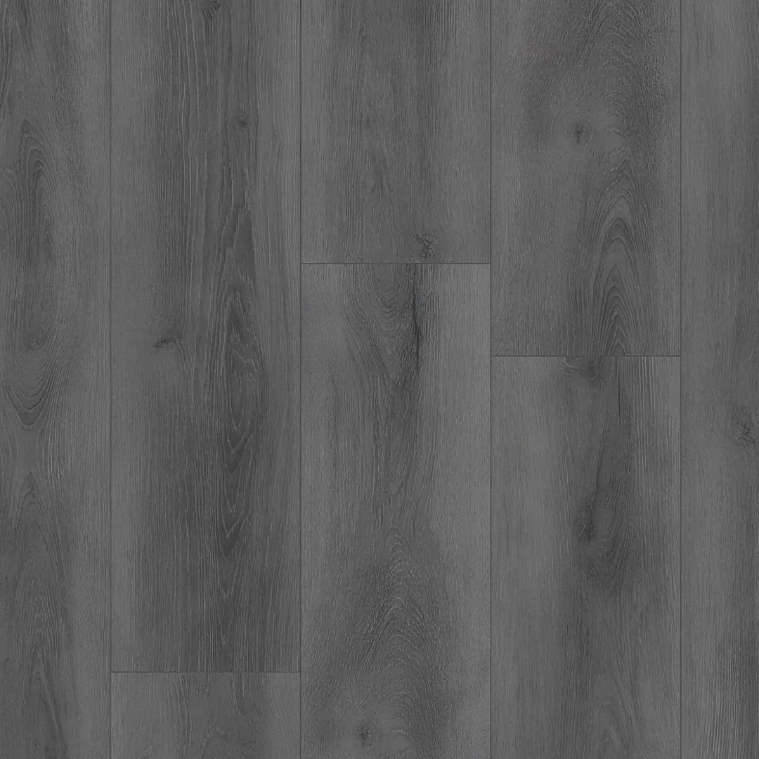 Richmond SPC Eco - Mid Grey